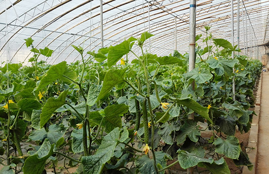 昇得源(中国)体育官方网站-SDY SPORTS