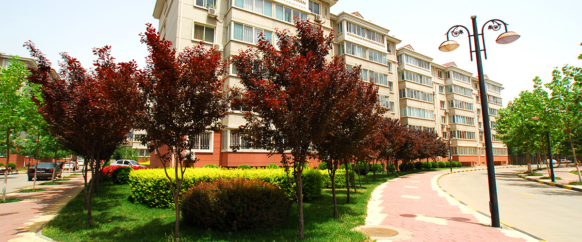 河北昇得源房地产开发集团有限公司